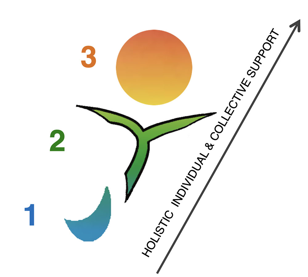 image formation niveaux